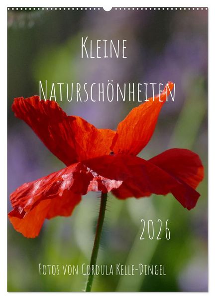 Kleine Naturschönheiten (Wandkalender 2026 DIN A2 hoch) CALVENDO Monatskalender