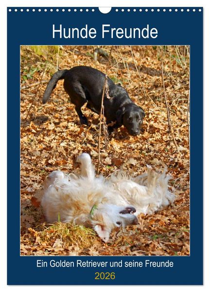 Hunde Freunde (Wandkalender 2026 DIN A3 hoch) CALVENDO Monatskalender