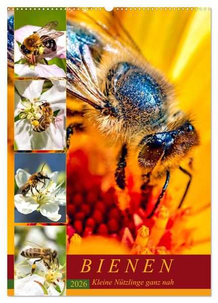 BIENEN - Kleine Nützlinge ganz nah (Wandkalender 2026 DIN A2 hoch) CALVENDO Monatskalender