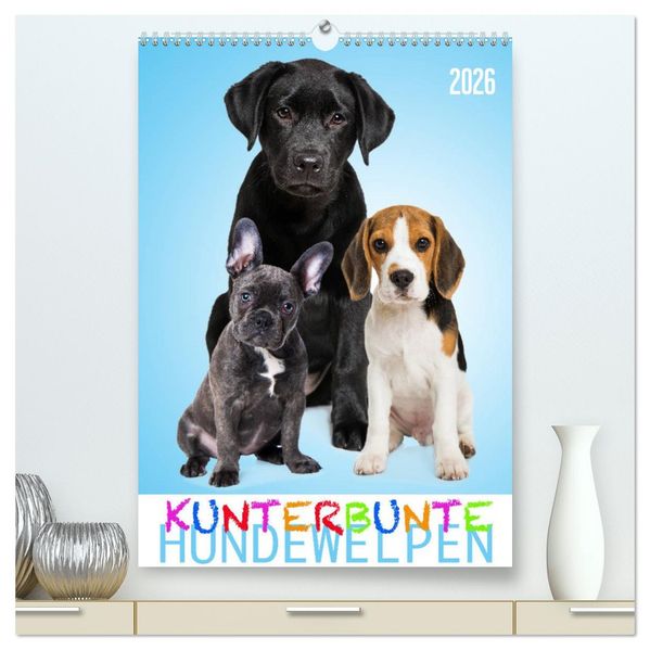 Kunterbunte Hundewelpen (hochwertiger Premium Wandkalender 2026 DIN A2 hoch) Kunstdruck in Hochglanz