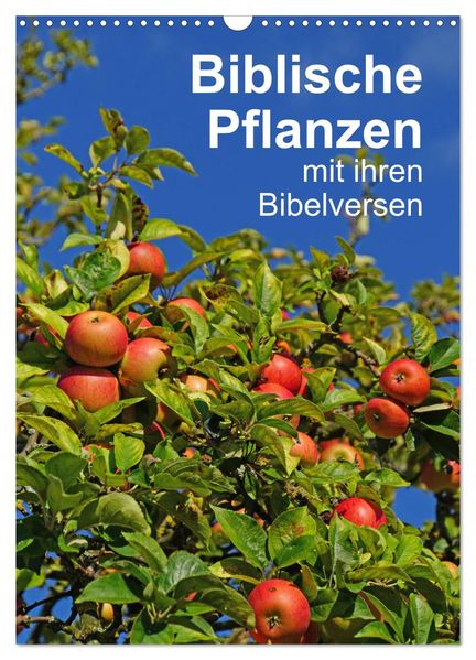 Biblische Pflanzen mit ihren Bibelversen (Wandkalender 2026 DIN A3 hoch) CALVENDO Monatskalender