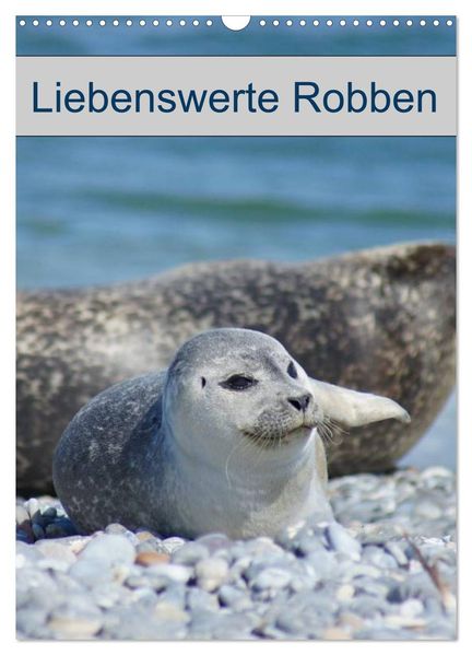 Liebenswerte Robben (Wandkalender 2026 DIN A3 hoch) CALVENDO Monatskalender