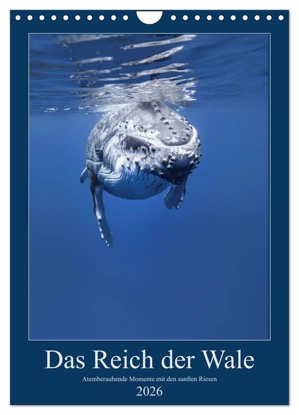Im Reich der Wale (Wandkalender 2026 DIN A4 hoch) CALVENDO Monatskalender