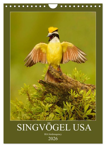Singvögel USA (Wandkalender 2026 DIN A4 hoch) CALVENDO Monatskalender