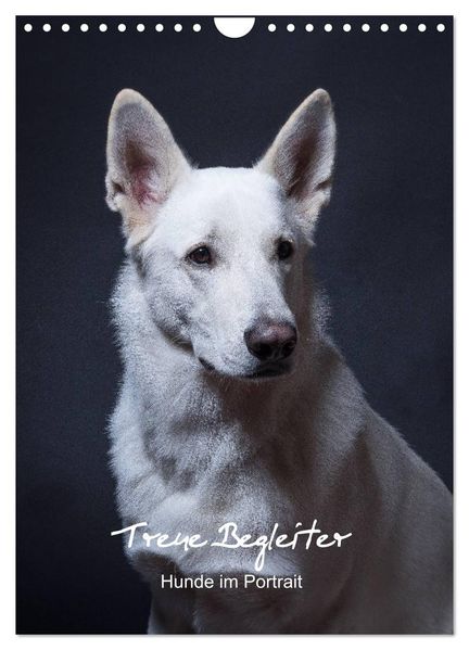 Treue Wegbegleiter Hunde im Portrait. (Wandkalender 2026 DIN A4 hoch) CALVENDO Monatskalender