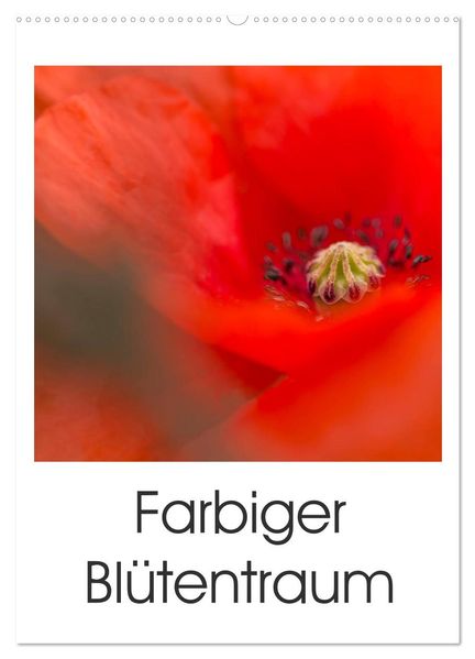 Farbiger Blütentraum (Wandkalender 2026 DIN A2 hoch) CALVENDO Monatskalender