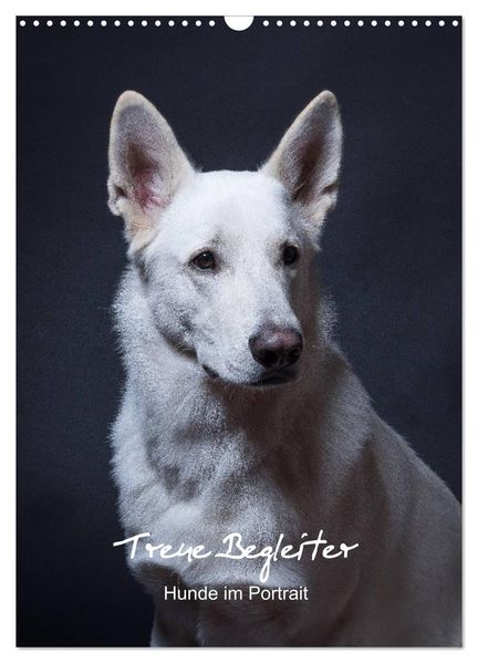 Treue Wegbegleiter Hunde im Portrait. (Wandkalender 2026 DIN A3 hoch) CALVENDO Monatskalender