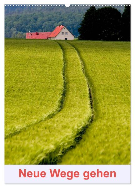 Neue Wege gehen (Wandkalender 2026 DIN A2 hoch) CALVENDO Monatskalender
