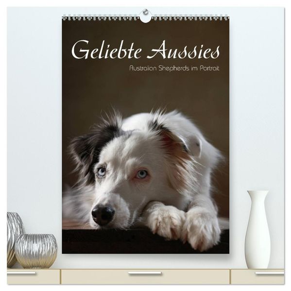 Geliebte Aussies - Australian Shepherds im Portrait (hochwertiger Premium Wandkalender 2026 DIN A2 hoch) Kunstdruck in Hochglanz