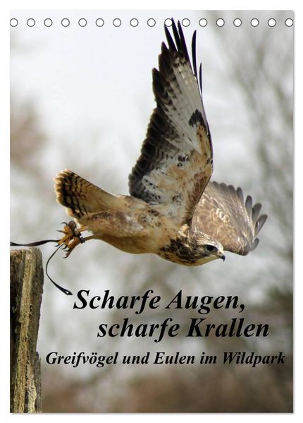 Scharfe Krallen scharfe Augen Greifvögel und Eulen im Wildpark (Tischkalender 2026 DIN A5 hoch) CALVENDO Monatskalender