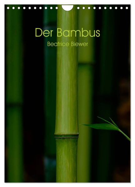 Der Bambus (Wandkalender 2026 DIN A4 hoch) CALVENDO Monatskalender
