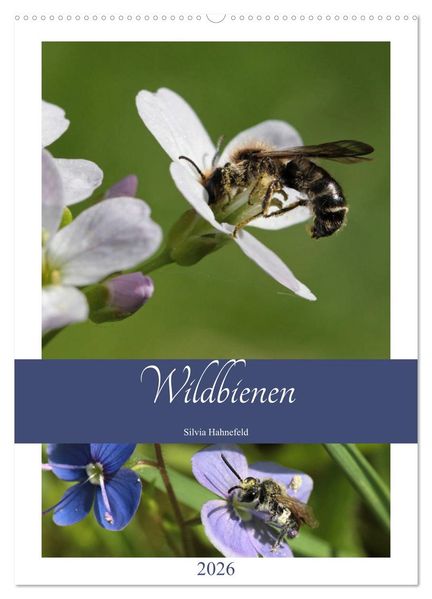 Wildbienen-Terminplaner 2026 (Wandkalender 2026 DIN A2 hoch) CALVENDO Monatskalender