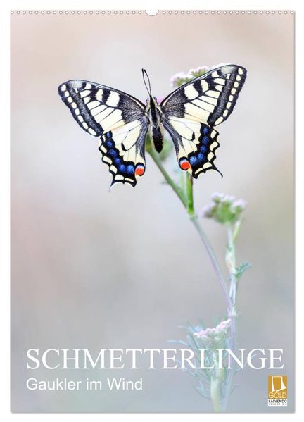 Schmetterlinge - Gaukler im Wind (Wandkalender 2026 DIN A2 hoch) CALVENDO Monatskalender