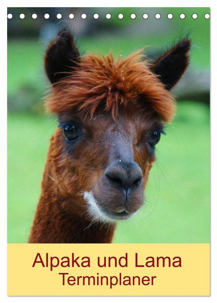 Alpaka und Lama Terminplaner (Tischkalender 2026 DIN A5 hoch) CALVENDO Monatskalender