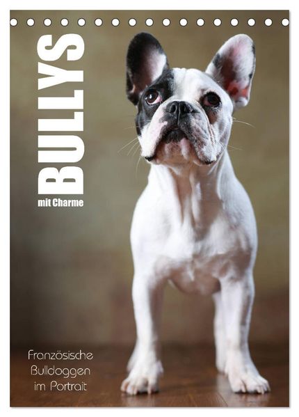 Bullys mit Charme - Französische Bulldoggen im Portrait (Tischkalender 2026 DIN A5 hoch) CALVENDO Monatskalender