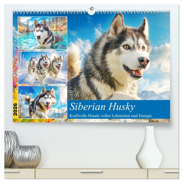 Siberian Husky. Kraftvolle Hunde voller Lebenslust und Energie (hochwertiger Premium Wandkalender 2026 DIN A2 quer) Kunstdruck in Hochglanz