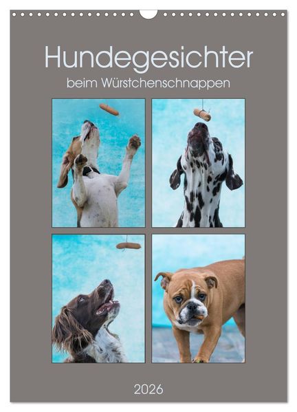 Hundegesichter beim Würstchenschnappen (Wandkalender 2026 DIN A3 hoch) CALVENDO Monatskalender