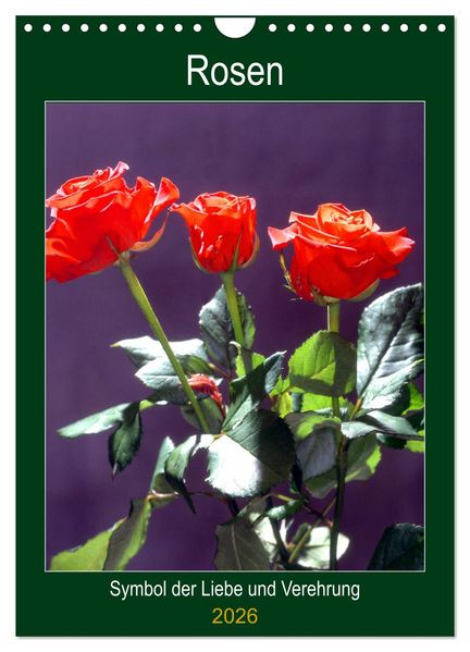 Rosen - Symbol der Liebe und Verehrung (Wandkalender 2026 DIN A4 hoch) CALVENDO Monatskalender