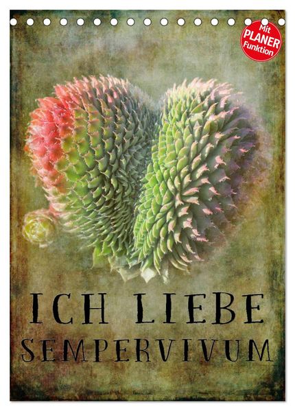Ich liebe Sempervivum (Tischkalender 2026 DIN A5 hoch) CALVENDO Monatskalender