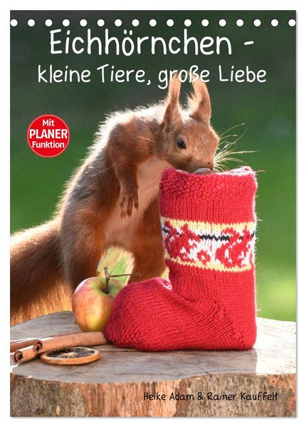 Eichhörnchen - kleine Tiere große Liebe (Tischkalender 2026 DIN A5 hoch) CALVENDO Monatskalender