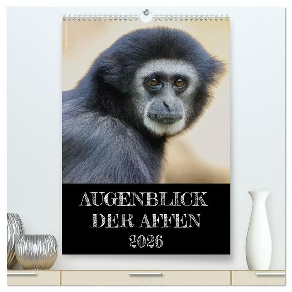 Augenblick der Affen 2026 (hochwertiger Premium Wandkalender 2026 DIN A2 hoch) Kunstdruck in Hochglanz