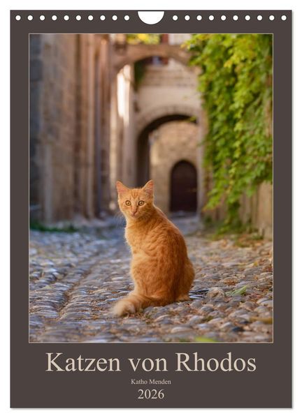 Katzen von Rhodos (Wandkalender 2026 DIN A4 hoch) CALVENDO Monatskalender
