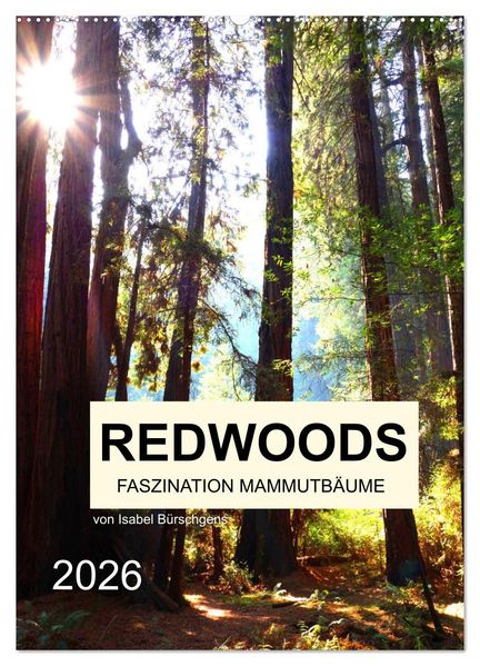 Redwoods - Faszination Mammutbäume (Wandkalender 2026 DIN A2 hoch) CALVENDO Monatskalender