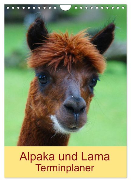 Alpaka und Lama Terminplaner (Wandkalender 2026 DIN A4 hoch) CALVENDO Monatskalender