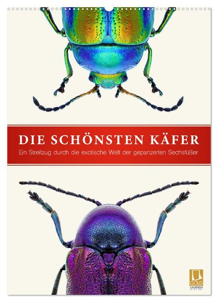 Die schönsten Käfer (Wandkalender 2026 DIN A2 hoch) CALVENDO Monatskalender