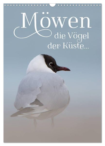 Möwen - die Vögel der Küste (Wandkalender 2026 DIN A3 hoch) CALVENDO Monatskalender