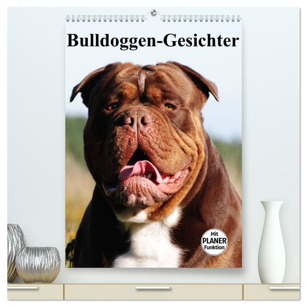 Bulldoggen-Gesichter (hochwertiger Premium Wandkalender 2026 DIN A2 hoch) Kunstdruck in Hochglanz