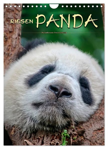 Riesenpanda (Wandkalender 2026 DIN A4 hoch) CALVENDO Monatskalender