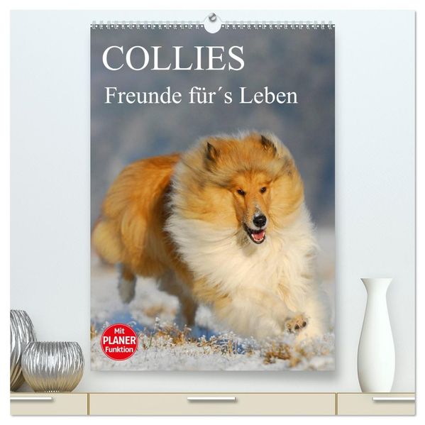 Collies - Freunde fürs Leben (hochwertiger Premium Wandkalender 2026 DIN A2 hoch) Kunstdruck in Hochglanz