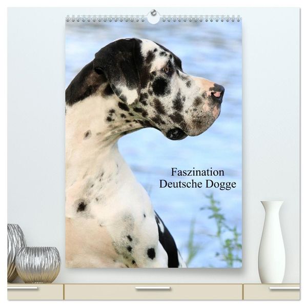 Faszination Deutsche Dogge (hochwertiger Premium Wandkalender 2026 DIN A2 hoch) Kunstdruck in Hochglanz