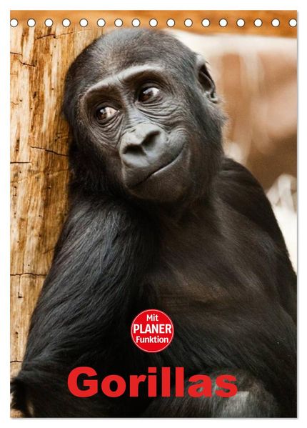 Gorillas (Tischkalender 2026 DIN A5 hoch) CALVENDO Monatskalender