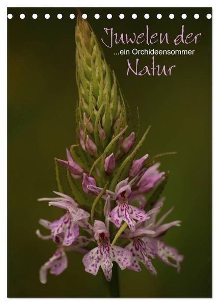Juwelen der Natur - Ein Orchideensommer (Tischkalender 2026 DIN A5 hoch) CALVENDO Monatskalender