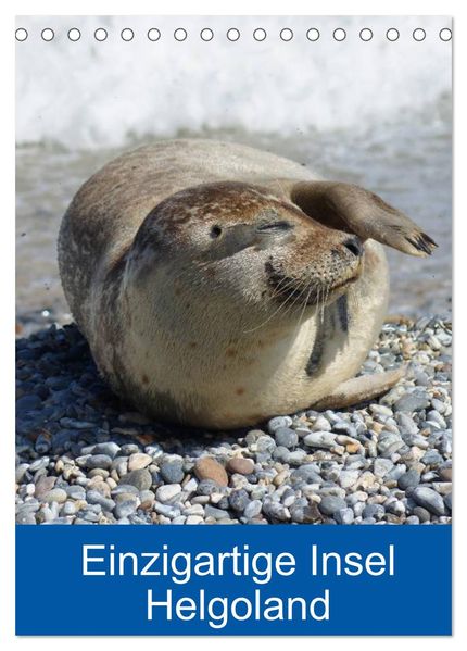 Einzigartige Insel Helgoland (Tischkalender 2026 DIN A5 hoch) CALVENDO Monatskalender
