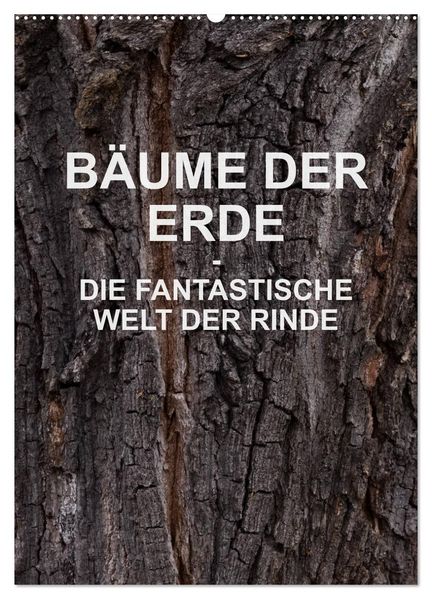 BÄUME DER ERDE - DIE FANTASTISCHE WELT DER RINDE (Wandkalender 2026 DIN A2 hoch) CALVENDO Monatskalender
