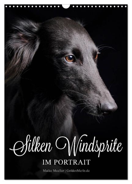 Silken Windsprite im Portrait (Wandkalender 2026 DIN A3 hoch) CALVENDO Monatskalender