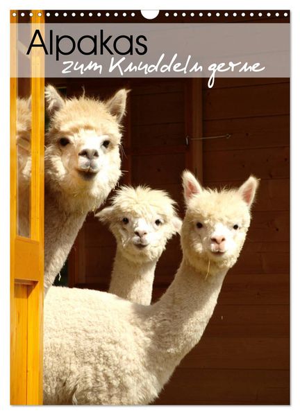 Alpakas zum Knuddeln gerne (Wandkalender 2026 DIN A3 hoch) CALVENDO Monatskalender