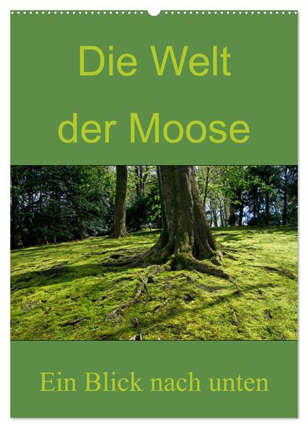 Die Welt der Moose. Ein Blick nach unten (Wandkalender 2026 DIN A2 hoch) CALVENDO Monatskalender