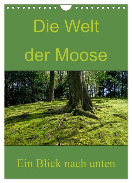 Die Welt der Moose. Ein Blick nach unten (Wandkalender 2026 DIN A4 hoch) CALVENDO Monatskalender