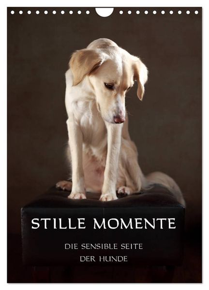 Stille Momente - Die sensible Seite der Hunde (Wandkalender 2026 DIN A4 hoch) CALVENDO Monatskalender