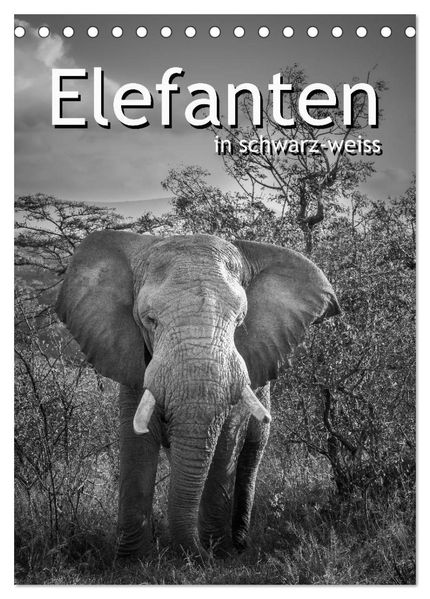 Elefanten in schwarz-weiss (Tischkalender 2026 DIN A5 hoch) CALVENDO Monatskalender