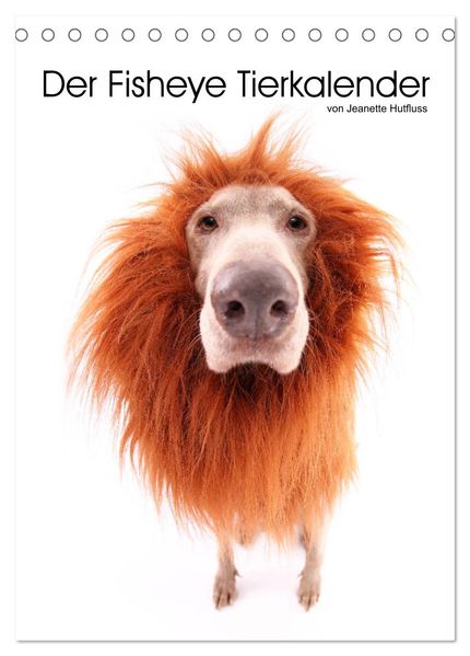 Der Fisheye Tiere Kalender (Tischkalender 2026 DIN A5 hoch) CALVENDO Monatskalender