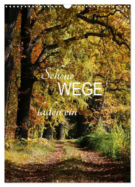 Schöne Wege laden ein (Wandkalender 2026 DIN A3 hoch) CALVENDO Monatskalender