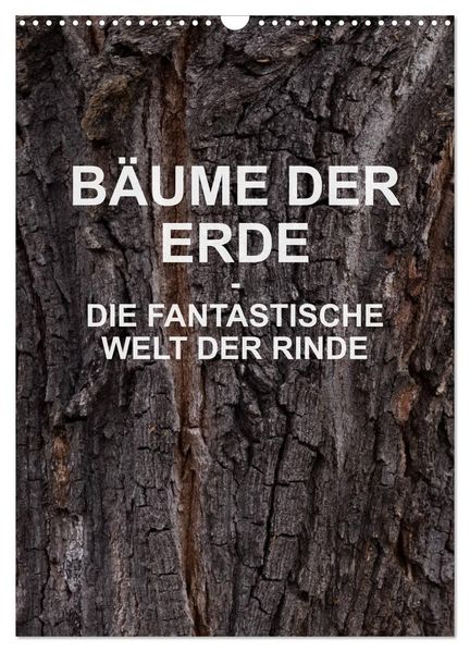 BÄUME DER ERDE - DIE FANTASTISCHE WELT DER RINDE (Wandkalender 2026 DIN A3 hoch) CALVENDO Monatskalender