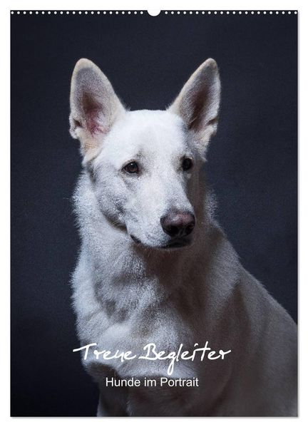 Treue Wegbegleiter Hunde im Portrait. (Wandkalender 2026 DIN A2 hoch) CALVENDO Monatskalender