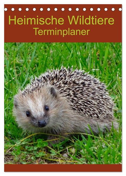 Heimische Wildtiere Terminplaner (Tischkalender 2026 DIN A5 hoch) CALVENDO Monatskalender