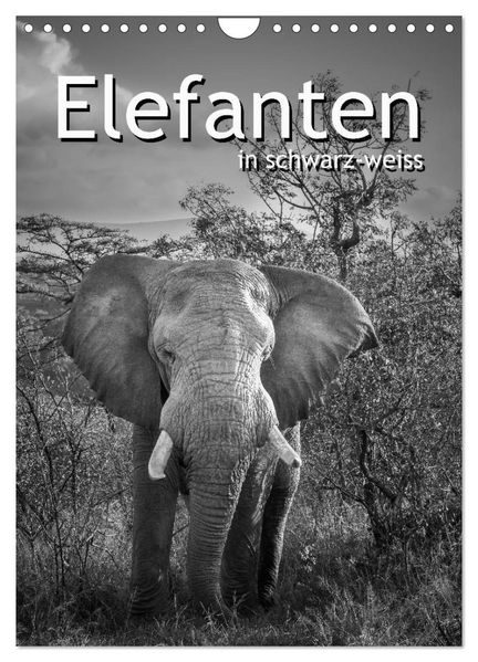 Elefanten in schwarz-weiss (Wandkalender 2026 DIN A4 hoch) CALVENDO Monatskalender